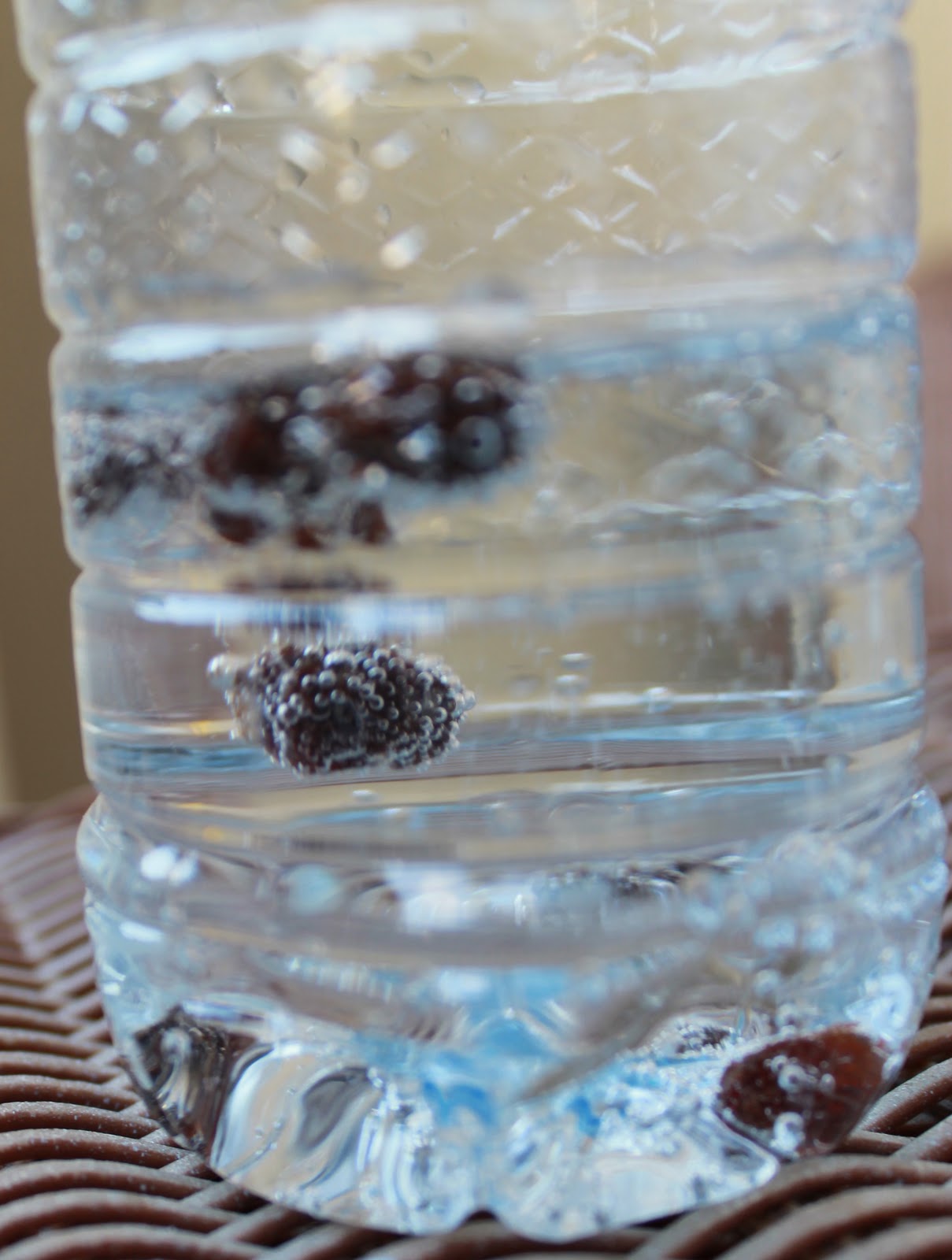 & watch closely as those raisins get down! )