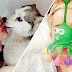 Miley Cyrus Is In The Hospital