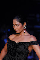 Bollywood, Hot, Actress, at, IIJW, Photos