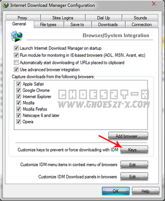 Cara Download File di FileSonic.com Dengan IDM