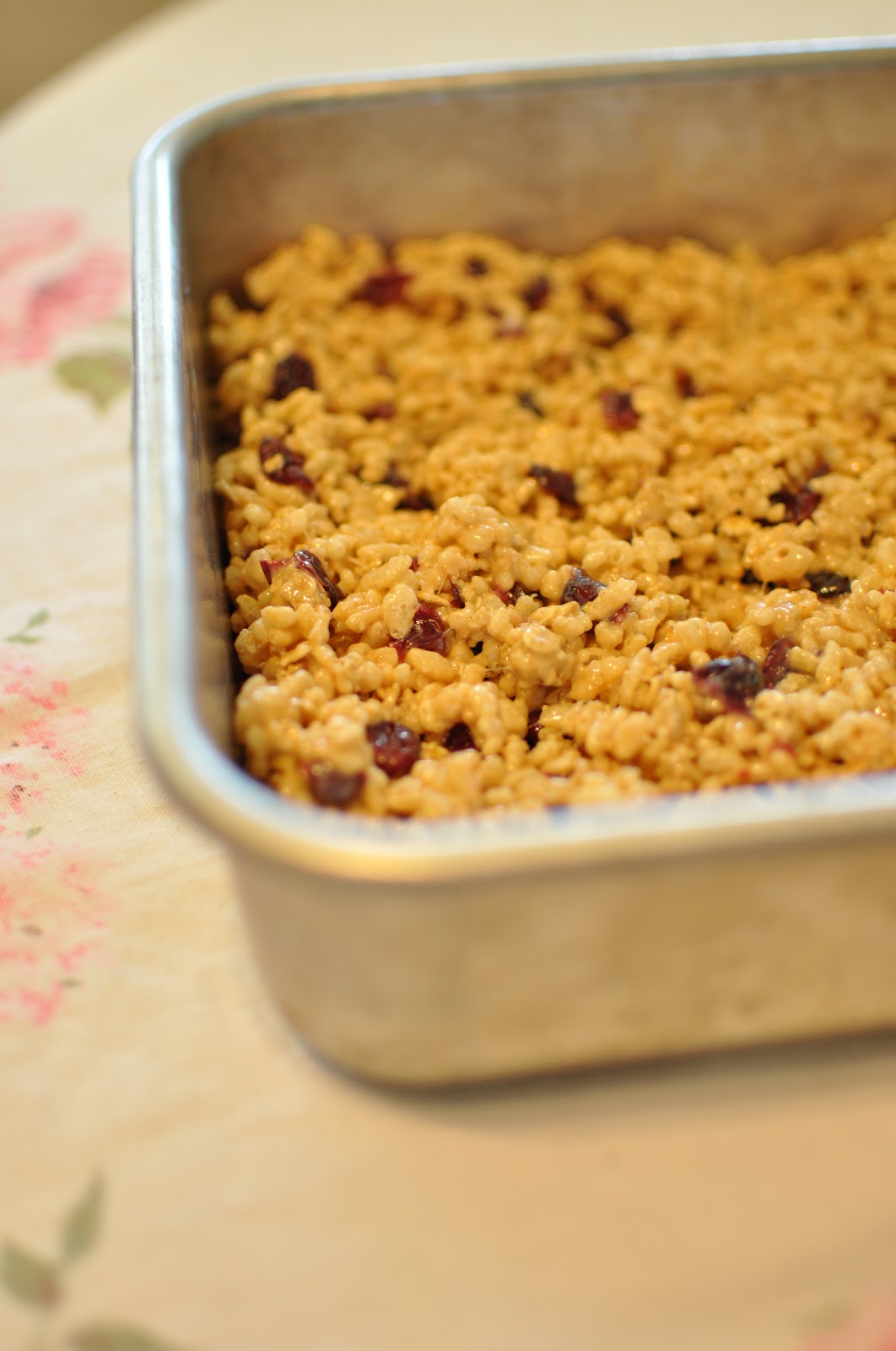 Domestic Fashionista CranStrawberry Granola Bars