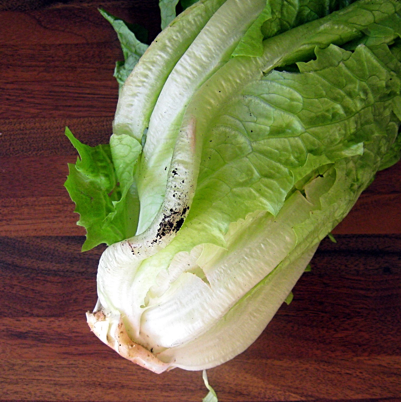 Salad spinner Efficient - BRA