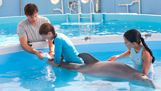 Dolphin Tale