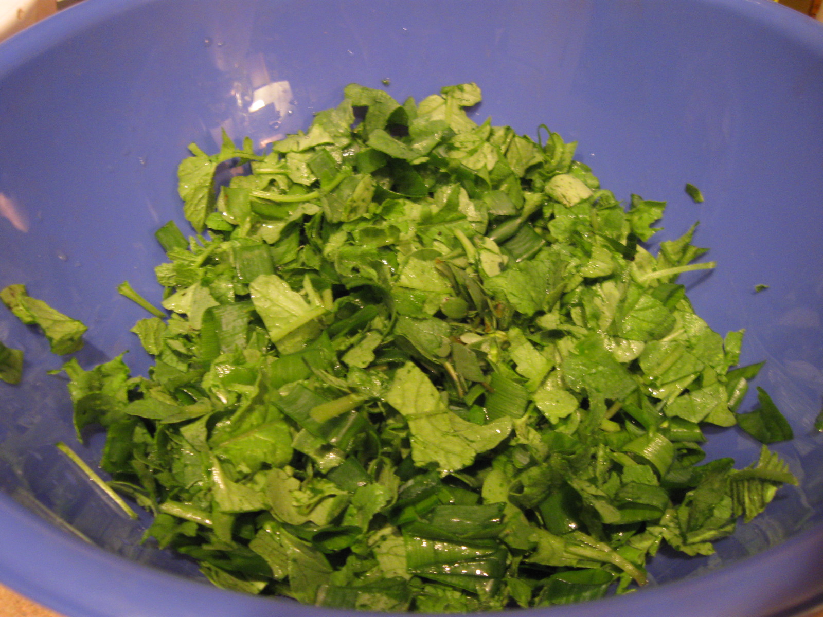 Growing Food in Florida Greens in the Florida Summer