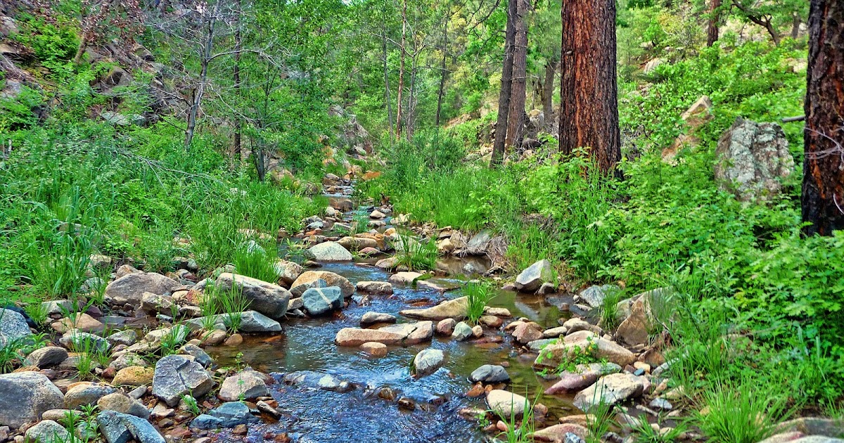 Bradshaw Mountains Bradshaw NEWS