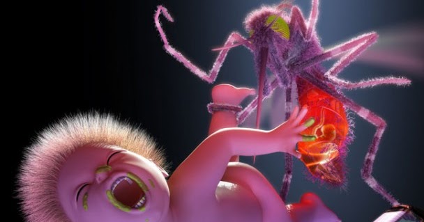yeah yeah yeahs mosquito rapidshare yeah yeah yeahs mosquito rapidshare