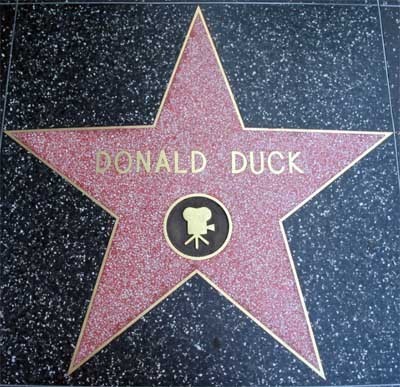 Hollywood Walk Fame on Disney Chick  Donald Duck Fun Fact Friday   Walk Of Fame