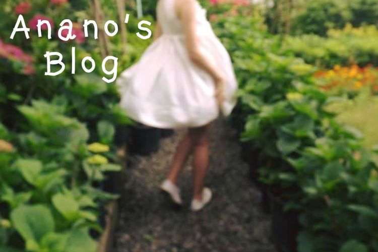     Anano's Blog