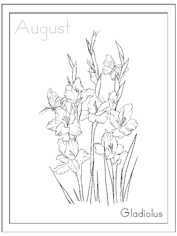 So what did a Gladiolus in a bouquet mean title=