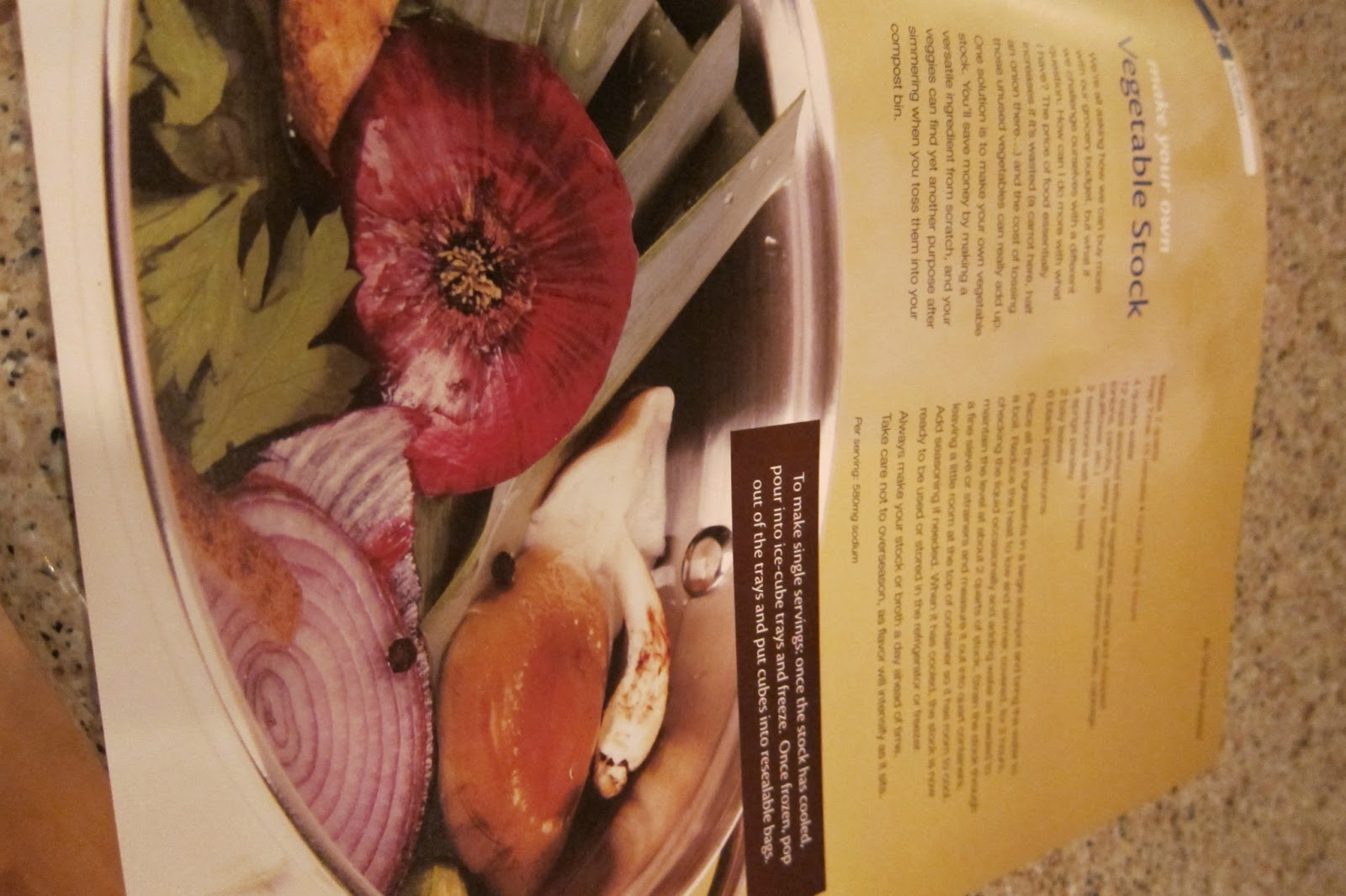 NOVA Frugal Family Chicken Broth from America's Test Kitchen