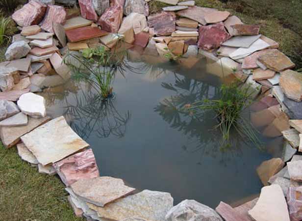 Above Ground Fish Pond Ideas