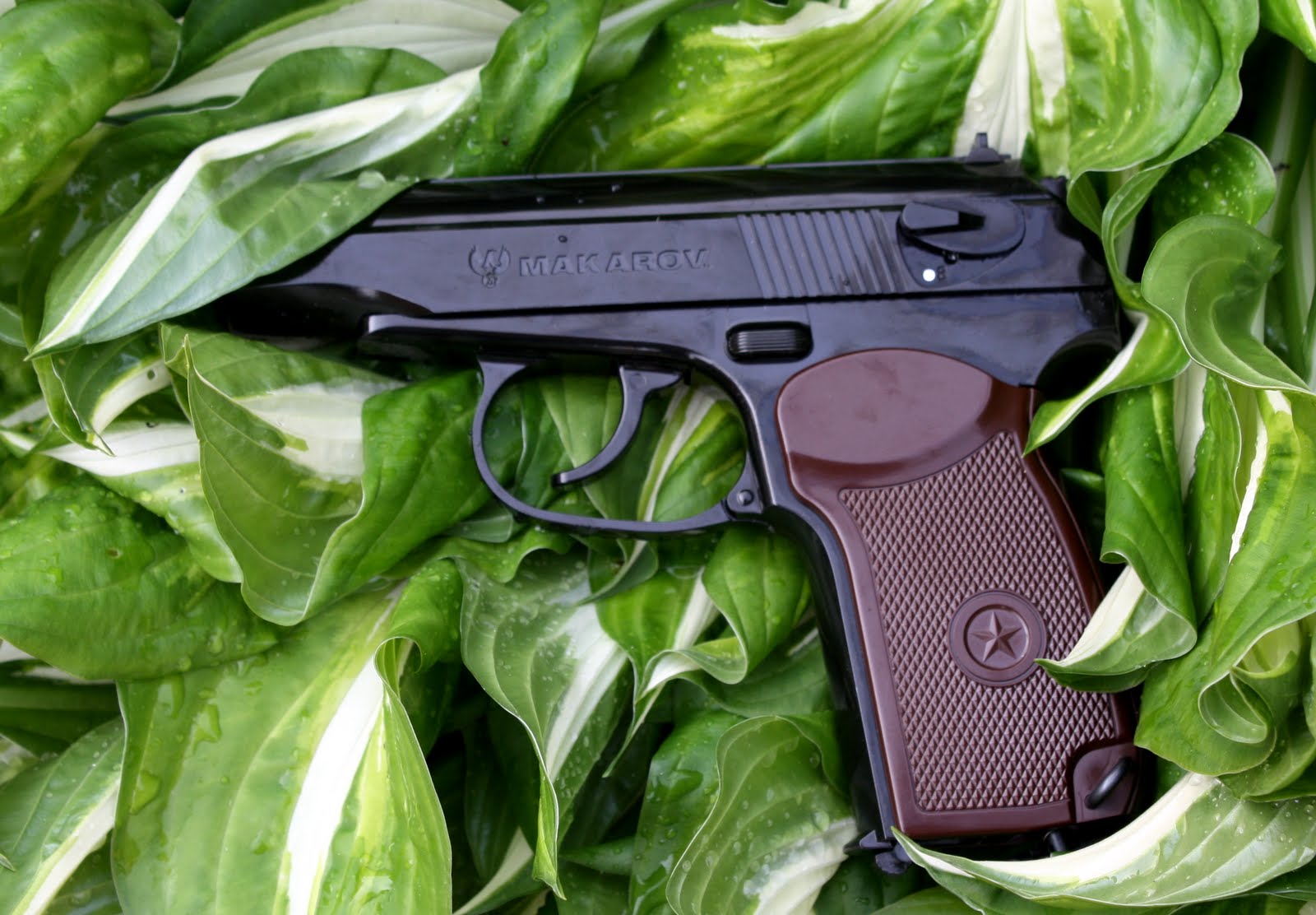 Airgun Source Canada: June 2011