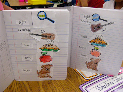 Kindergarten Smiles: Five Senses