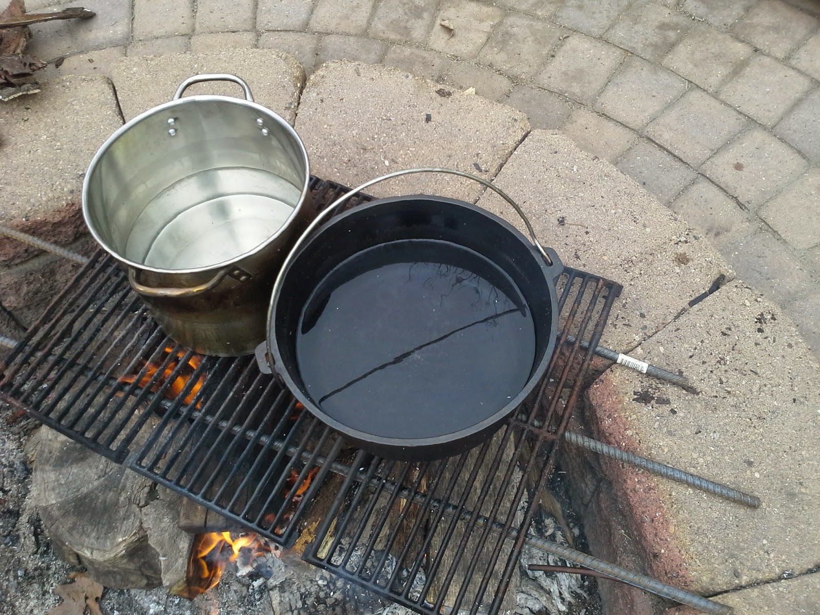 Tapping Maple Trees for Syrup on a Small Scale The Suburban Jungle