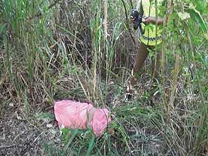 Murdered body of preschool teacher in Kivulaara scrub jungle Murdered body of preschool teacher in Kivulaara scrub jungle