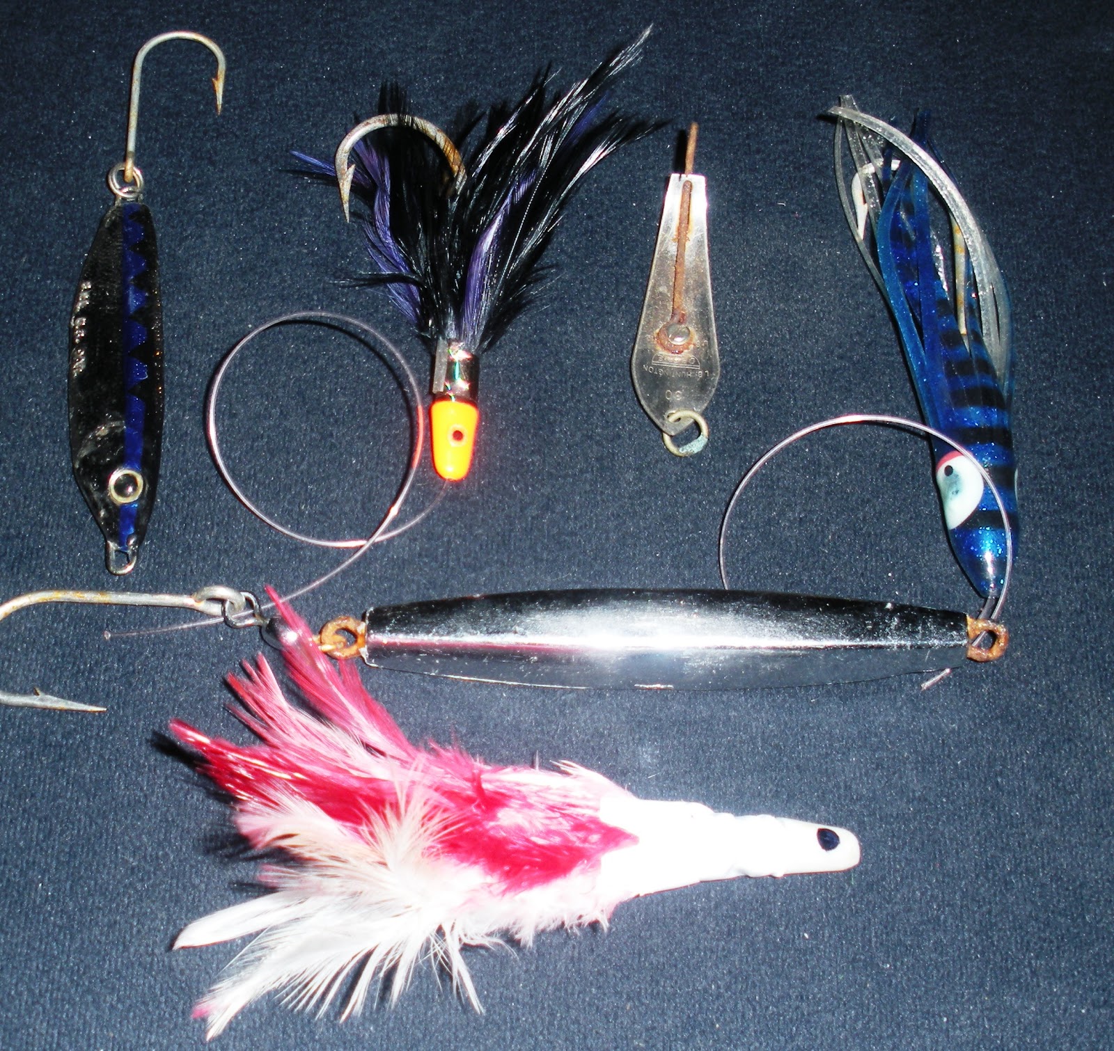 The Captain Flogs, Drinks Homemade Grog and then Blogs Species Profile