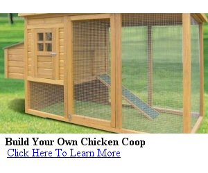 best chicken coop plans