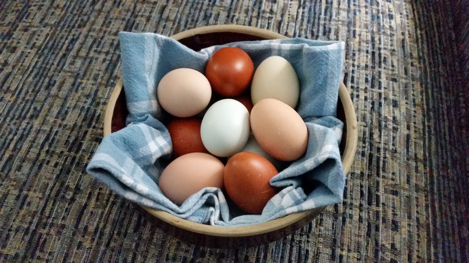 Dunrovin Station Review Of The Brower Top Hatch Incubator Its Beauty Is Its Simplicity