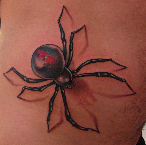 Image Result For Black Widow Spider Image Result For Black Widow Spider