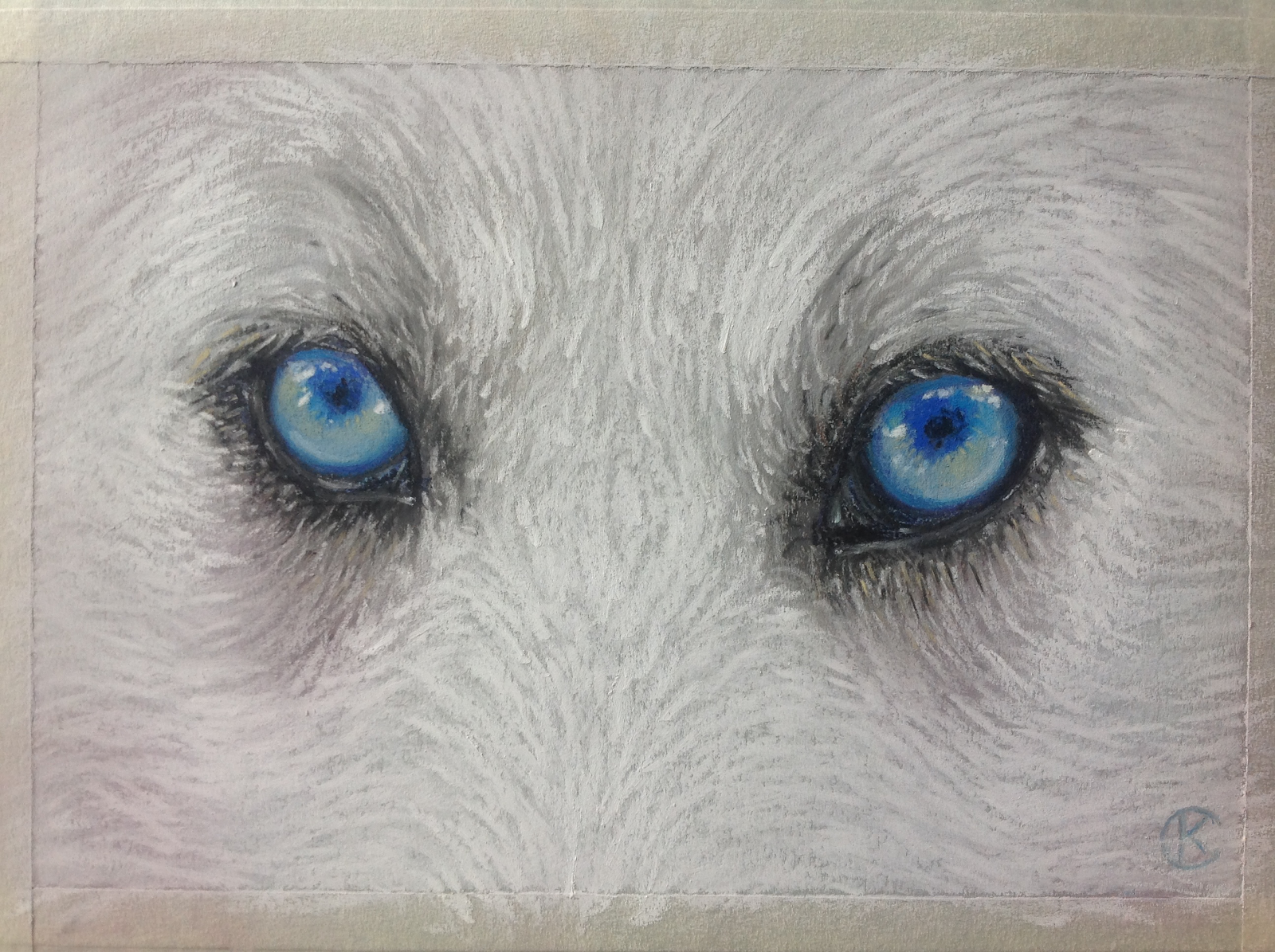 de witte wolf