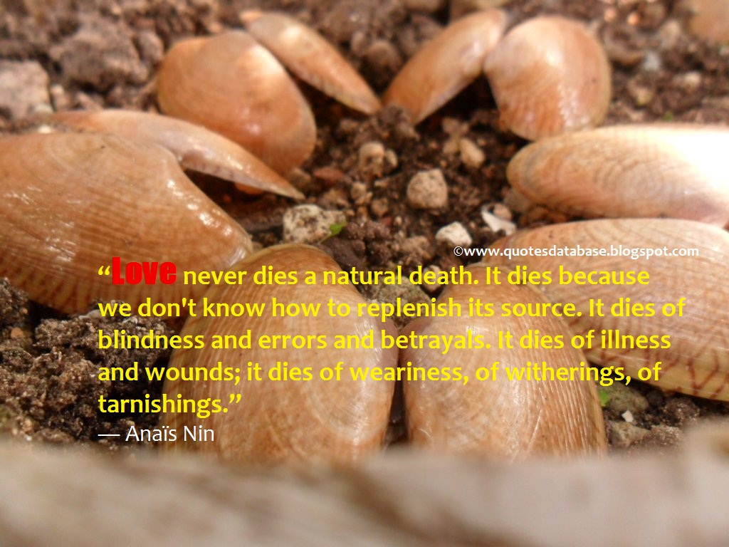 Quotes Database October 2012 Love never s a natural