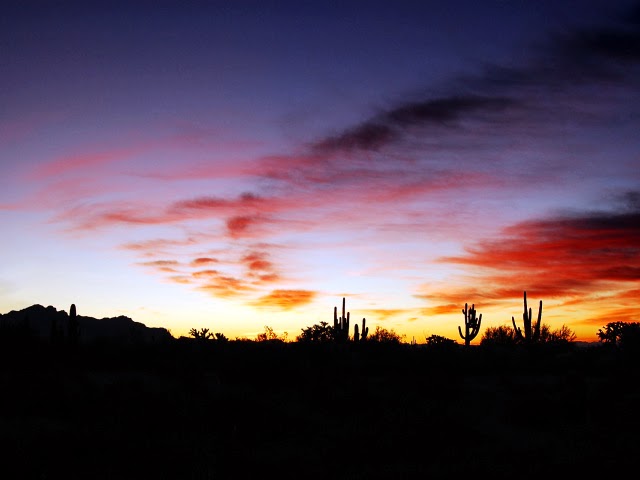 Arizona sunset spring break playlist