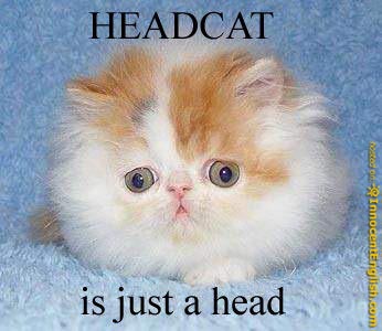 15+ Funny Cat Head Png Gif