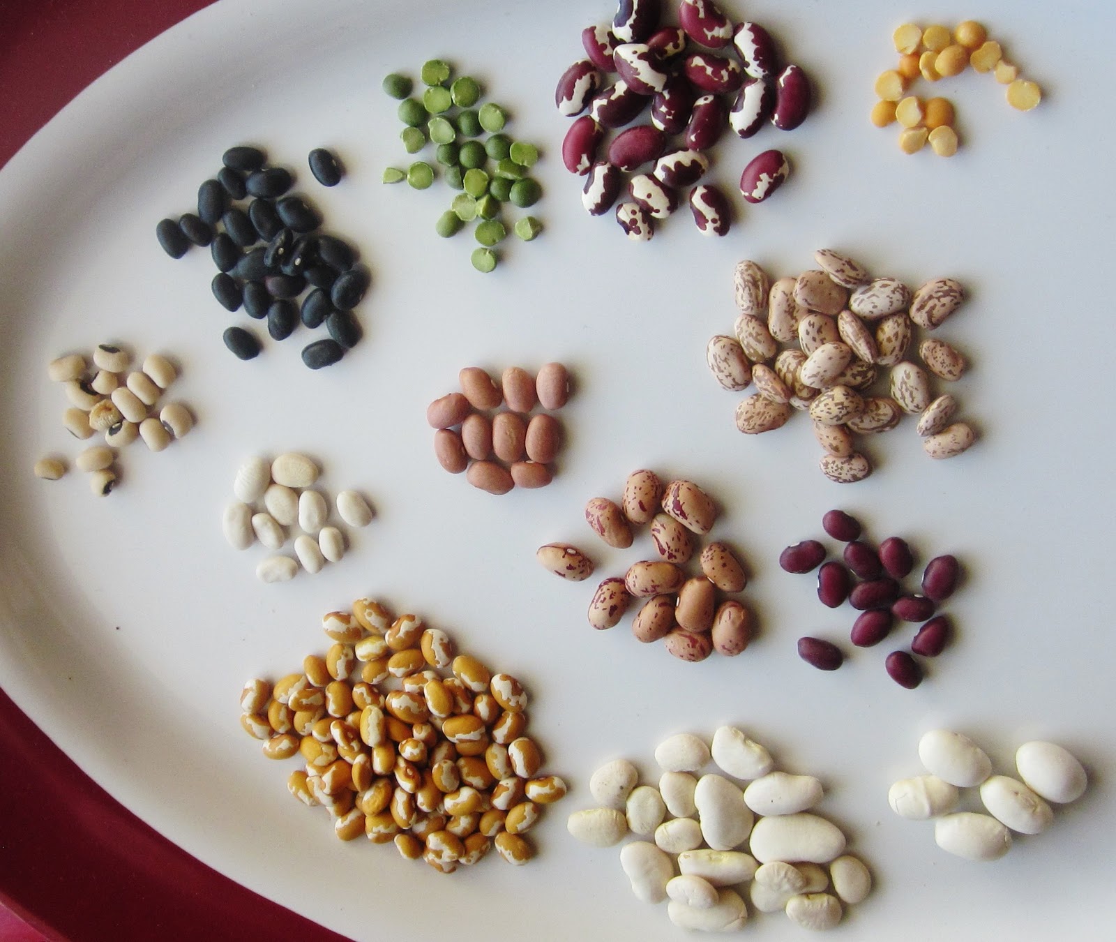 Chef Tess Bakeresse How You Bean?! Dove Creek, Colorado Rocks!