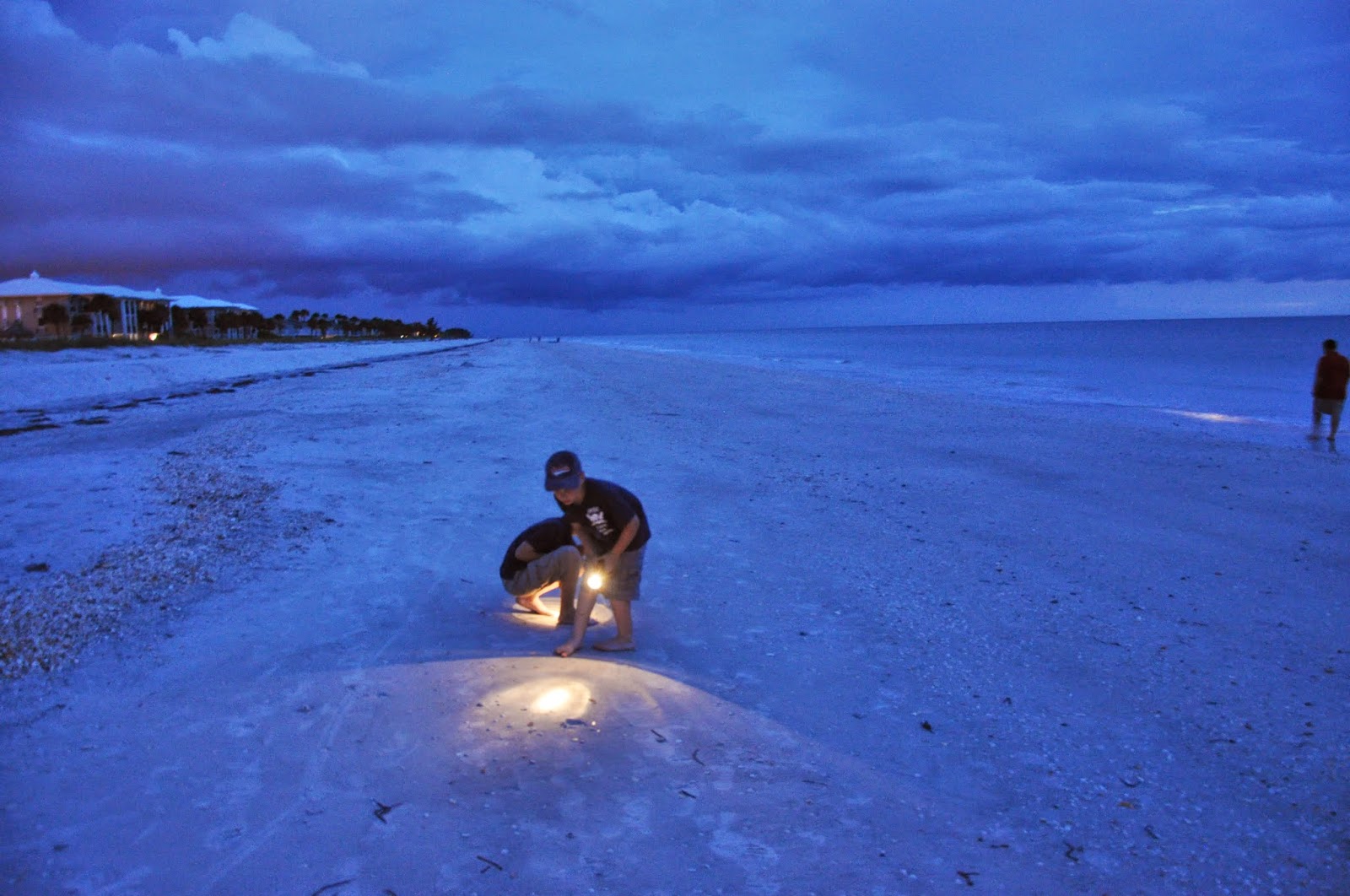 The Adventures of Bits Belleair Beach, Florida