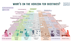 Pildoras de bioética