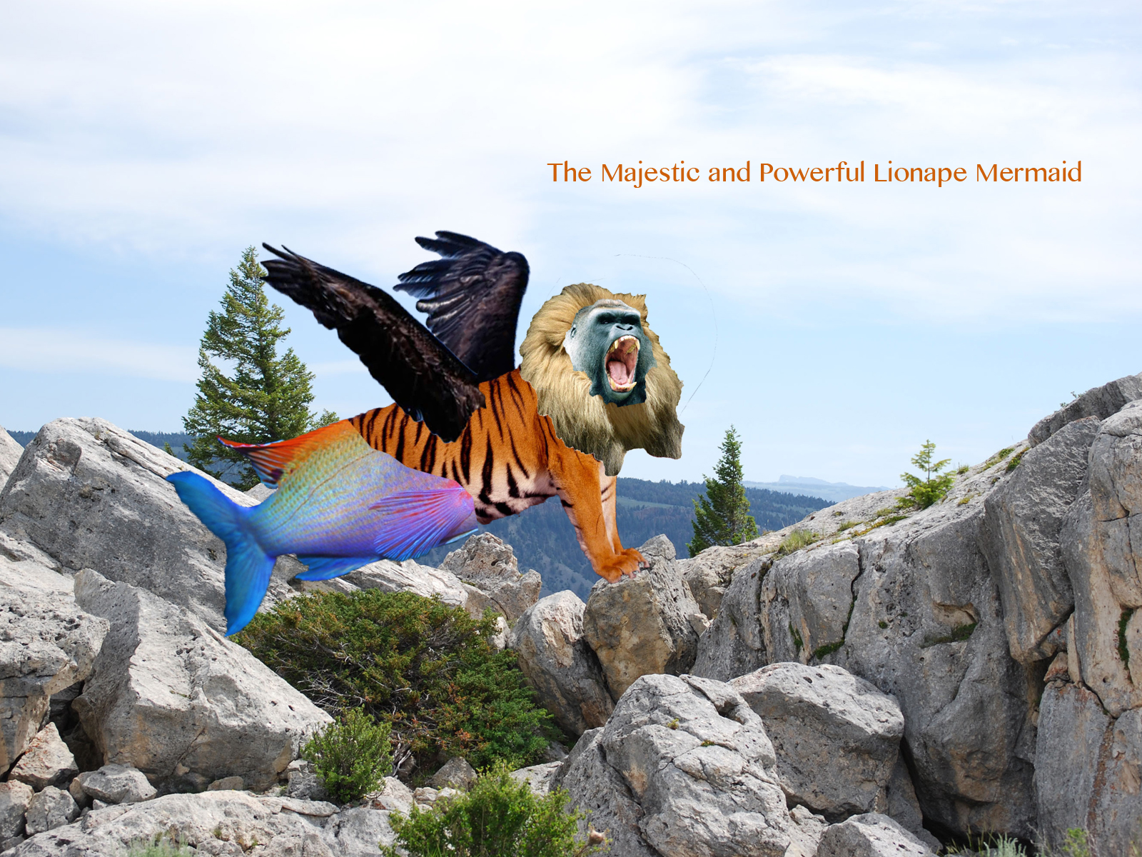 Mixed Animals A Blog by Gus