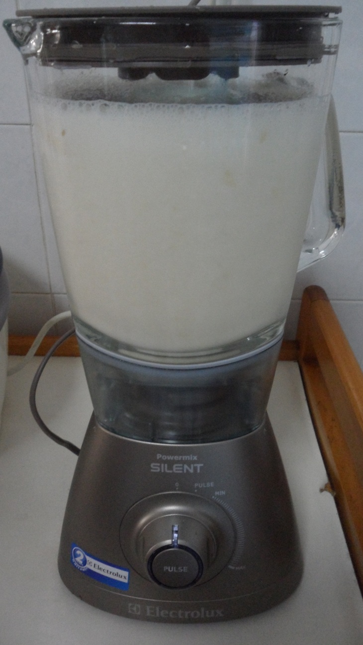 electrolux powermix silent