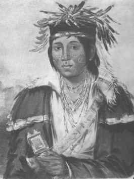 illini indian american indians illinois kaskaskia tribe southern native website create powered