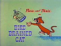 title card from Bird-Brained Cat