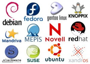 Какой дистрибутив Linux выбрать ? Distributivy-Linux-300x214