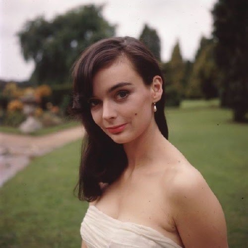 Barbara Steele Nude Photos 93 Barbara Steele Nude Photos 91