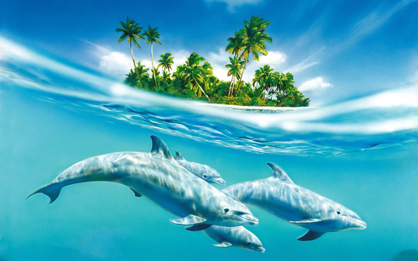 http://4.bp.blogspot.com/-0-dqQpNv6Dk/UOocFxVgsUI/AAAAAAABdNs/ZTgMySrLB5g/s1600/delfines-nadando-a-orillas-del-oceano-en-las-aguas-cristalinas-dolphins.jpg