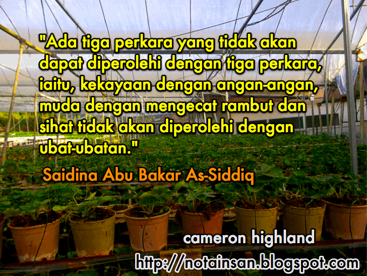 Kata kata hikmah | Motivasi | Mutiara kata | Saidina Abu Bakar As
