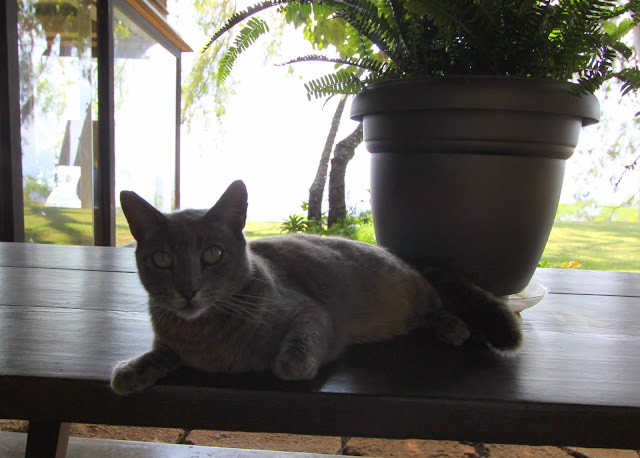 The Liljestrand House, Ossipoff, Tantalus Dirve, Honolulu, Hawaii, mid-century modern architecture