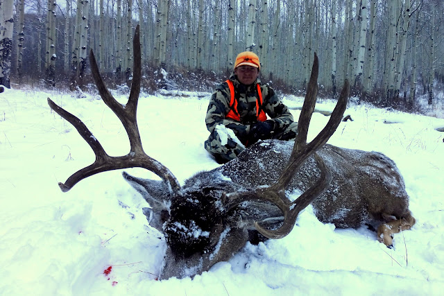 jani+buck+5+Colorado+Mule+Deer+trophy+2012.jpg