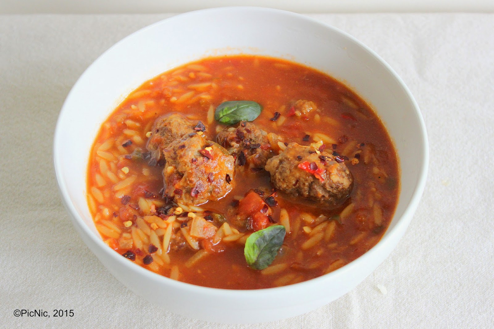 PicNic Spiced Beef Risoni Soup