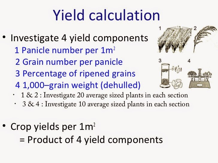 Nature and Farming Rice Production Chapter 18 Yield calculation