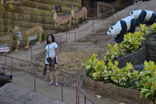 noah's ark noah's ark at Garin farm