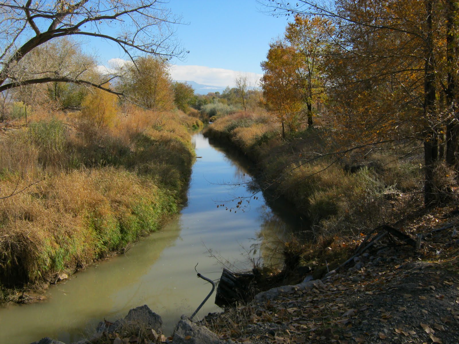 Watson Island Section
