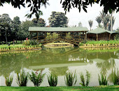 el  jardin  botanico