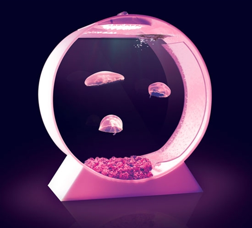 Image Result For Aquarium Hydrometer Image Result For Aquarium Hydrometer