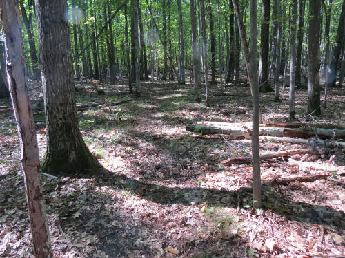 North Country Trail
