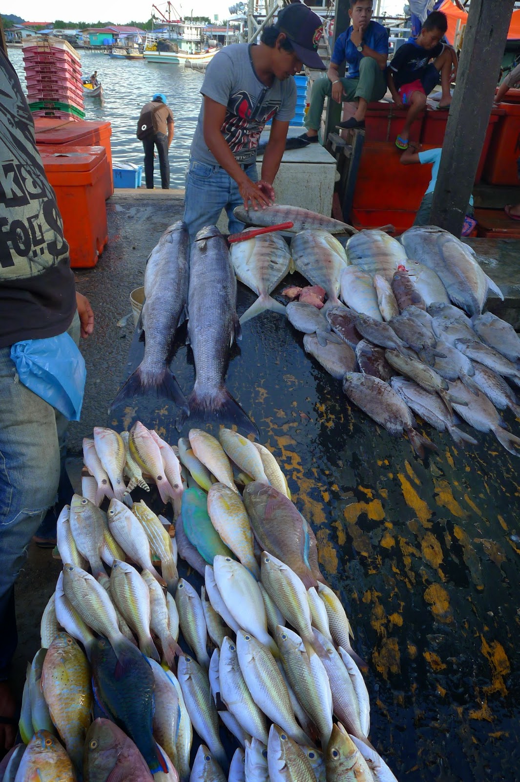 The Journey: IKAN