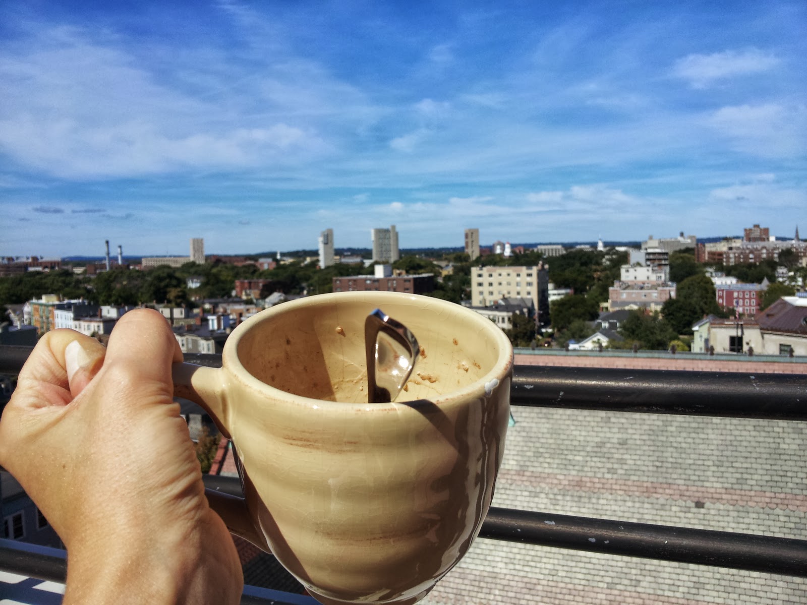 Oats on the Go Veggie Fixation