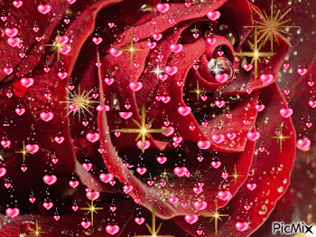 Rosa linda = Amor